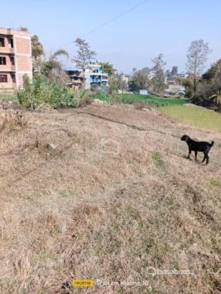 Land On Sale- Lamatar : Land for Sale in Lamatar, Lalitpur-image-3