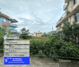"Prime 4.5 Anna Residential Land for Sale in Thulobharayang, Teengharey" : Land for Sale in Thulo Bharyang, Kathmandu-image-2
