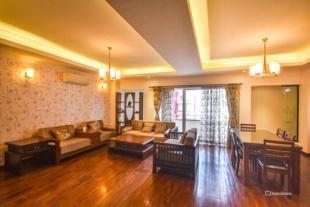 Luxury Duplex : Apartment for Sale in Dhapasi, Kathmandu-image-3