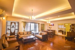 Luxury Duplex : Apartment for Sale in Dhapasi, Kathmandu-image-1