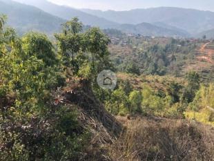 Best Investment Property : Land for Sale in Panchkhal, Kavre-image-5
