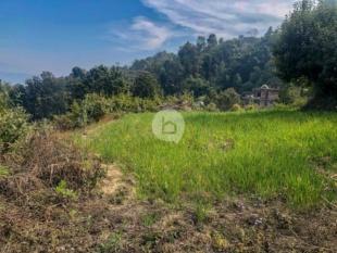 Best Investment Land : Land for Sale in Panchkhal, Kavre-image-3