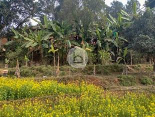 Residential /Commercial : Land for Sale in Panchkhal, Kavre-image-1