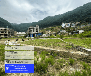 "Exceptional 4.5 Anna Land for Sale in Ramkot, Kathmandu : Land for Sale in Ramkot, Kathmandu-image-2