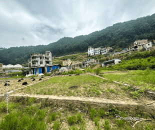 "Exceptional 4.5 Anna Land for Sale in Ramkot, Kathmandu : Land for Sale in Ramkot, Kathmandu-image-3