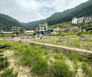 "Exceptional 4.5 Anna Land for Sale in Ramkot, Kathmandu : Land for Sale in Ramkot, Kathmandu-image-4