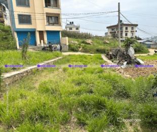 "Exceptional 4.5 Anna Land for Sale in Ramkot, Kathmandu : Land for Sale in Ramkot, Kathmandu-image-5