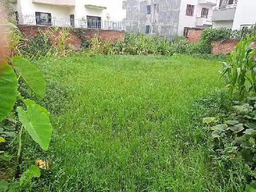 6 AANA LAND ON SALE AT DHAPAKHEL, LALITPUR-image-2