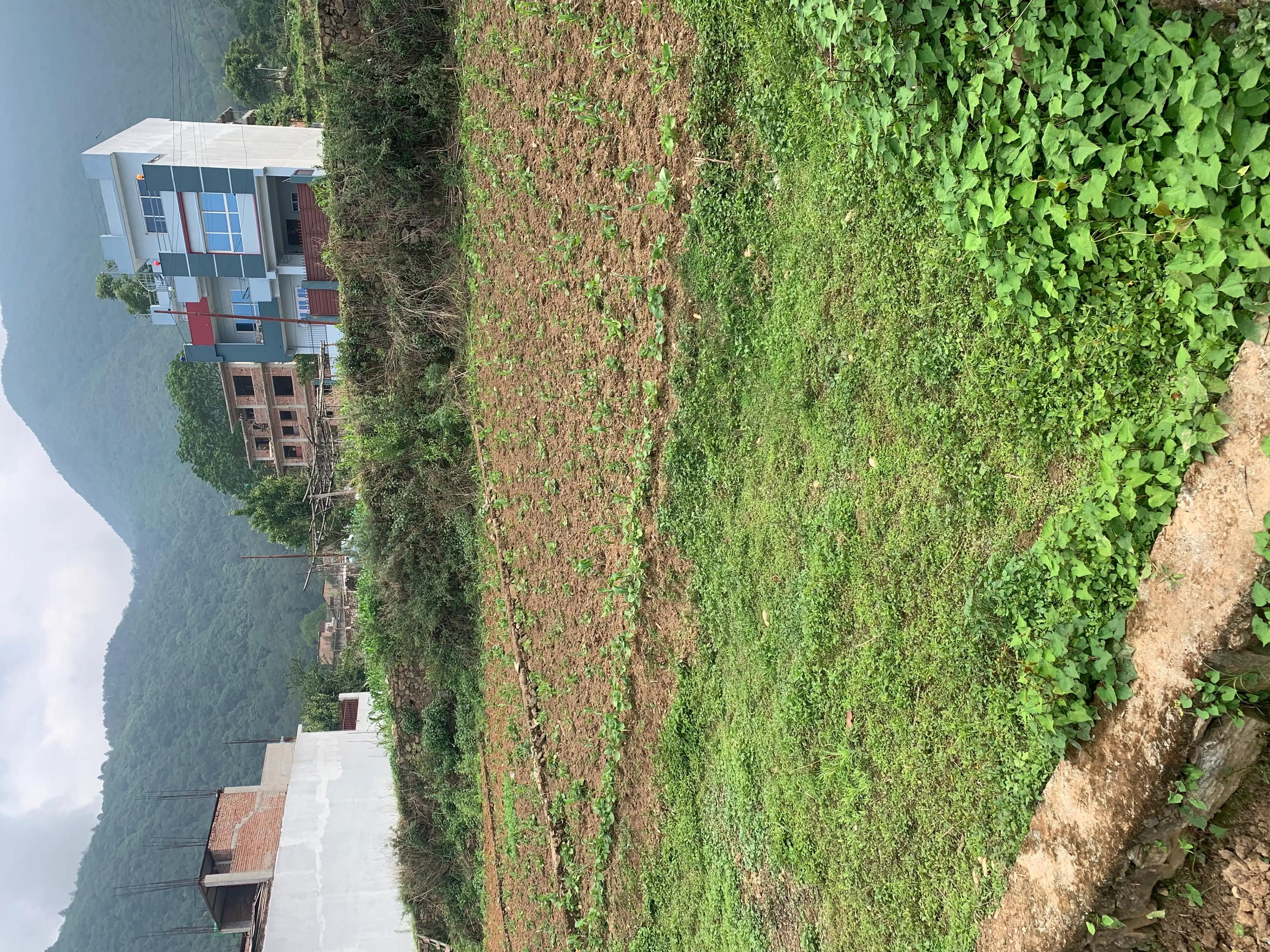 7 Aana Residential Land on sale at Matatirtha-image-3