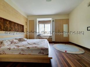 Apartment for Rent in Jhamsikhel, Lalitpur-image-4