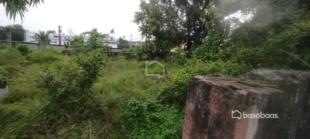 Land for Sale at Panchali Biratnagar : Land for Sale in Pichara, Biratnagar-image-4