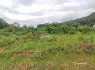 Land for Sale in Naya Gaun, Pokhara-image-3