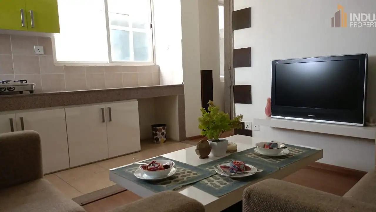 Fully Furnished Apartment on Sale-image-4