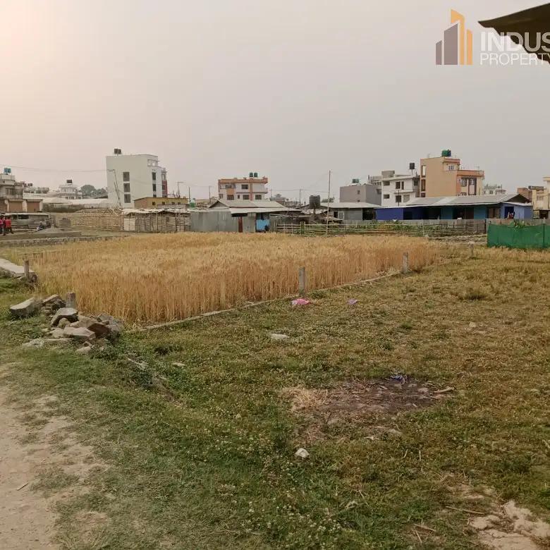 Land on sale-Harisiddhi, Lalitpur-image-3