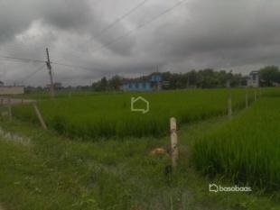 धनगढी गेटामा २ कठ्ठा आवसिय जग्गा सस्तो बिक्रिमा : Land for Sale in Dhangadhi, Kailali-image-4
