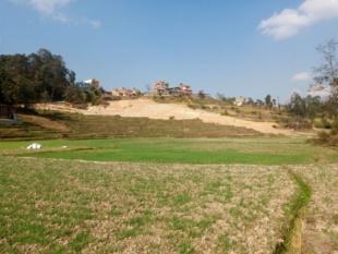 Land for sale-image-2