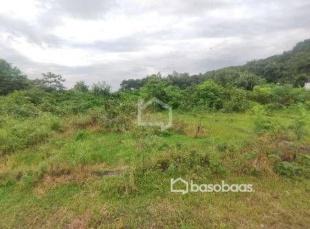 Land for Sale in Naya Gaun, Pokhara-image-2