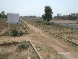 Land for Sale in DDC Chowk, Biratnagar-image-1