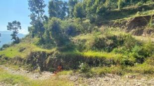 COMMERCIAL PLUS AGRICULTURE : Land for Sale in Dhampus, Kaski-image-5