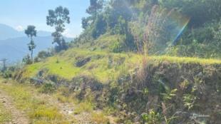 COMMERCIAL PLUS AGRICULTURE : Land for Sale in Dhampus, Kaski-image-4