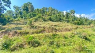 COMMERCIAL PLUS AGRICULTURE : Land for Sale in Dhampus, Kaski-image-1