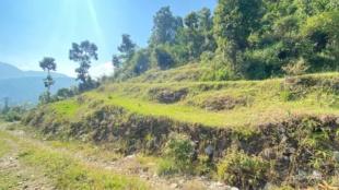 COMMERCIAL PLUS AGRICULTURE : Land for Sale in Dhampus, Kaski-image-3