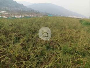 Land for Sale in Nala, Kavre-image-5