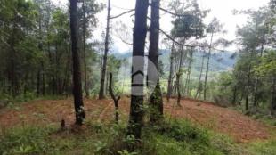 Land for Sale in Thaha Nagarpalika, Makwanpur-image-2