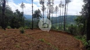 Land for Sale in Thaha Nagarpalika, Makwanpur-image-3