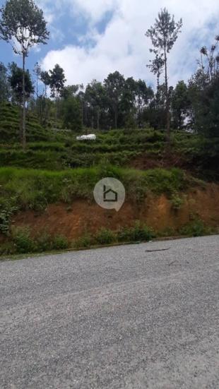 Land for Sale in Thaha Nagarpalika, Makwanpur-image-4