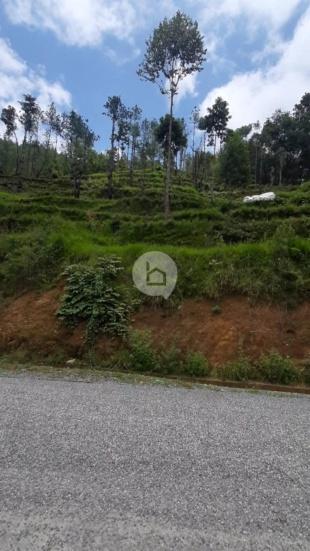 Land for Sale in Thaha Nagarpalika, Makwanpur-image-5