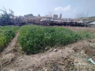 Land On Sale- Naghdaha : Land for Sale in Naghdaha, Lalitpur-image-2