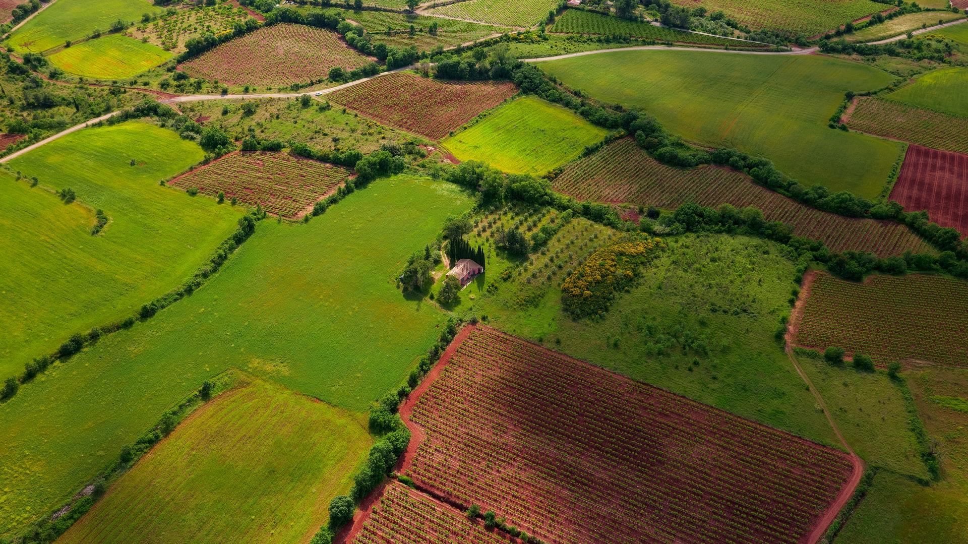 Land Vastu: Important Tips For Buying Land In Nepal
