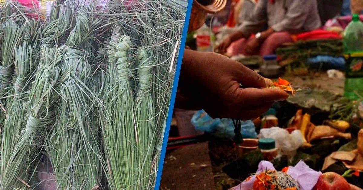 कुशे औंसी: यस्ता छन् कुशका धार्मीक तथा वैज्ञानिक महत्व