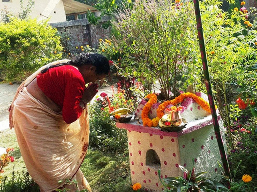 तुलसी विवाह किन र कसरी गर्ने ! यस्ता छन् जान्नैपर्ने कुराहरू