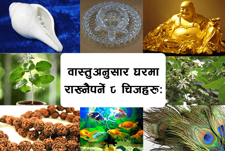 वास्तुअनुसार घरमा यसकारण राख्नैपर्छ ‘आठ चीजहरू’