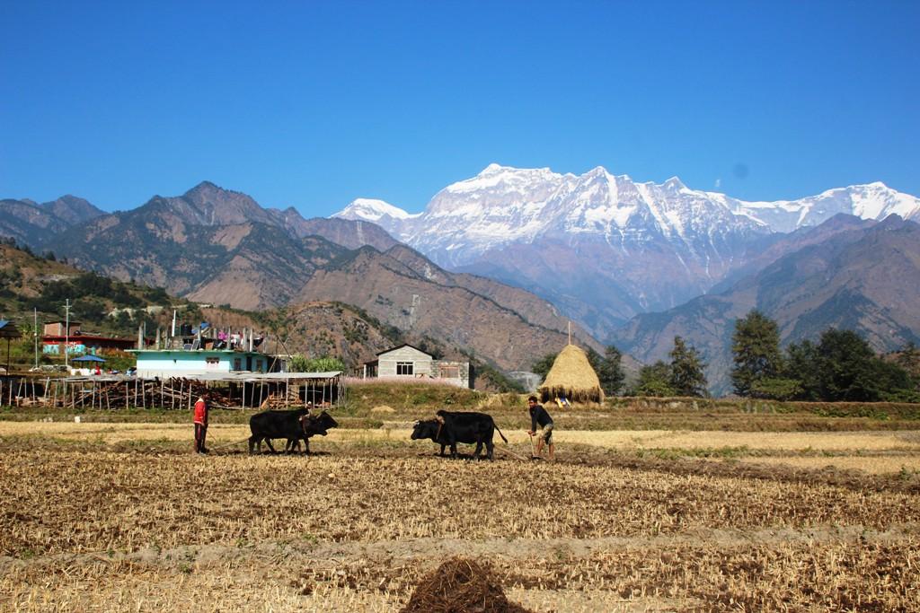 अ‍ब बाँझो जमीनमा खेती गर्दा वार्षिक २ हजार पाइने