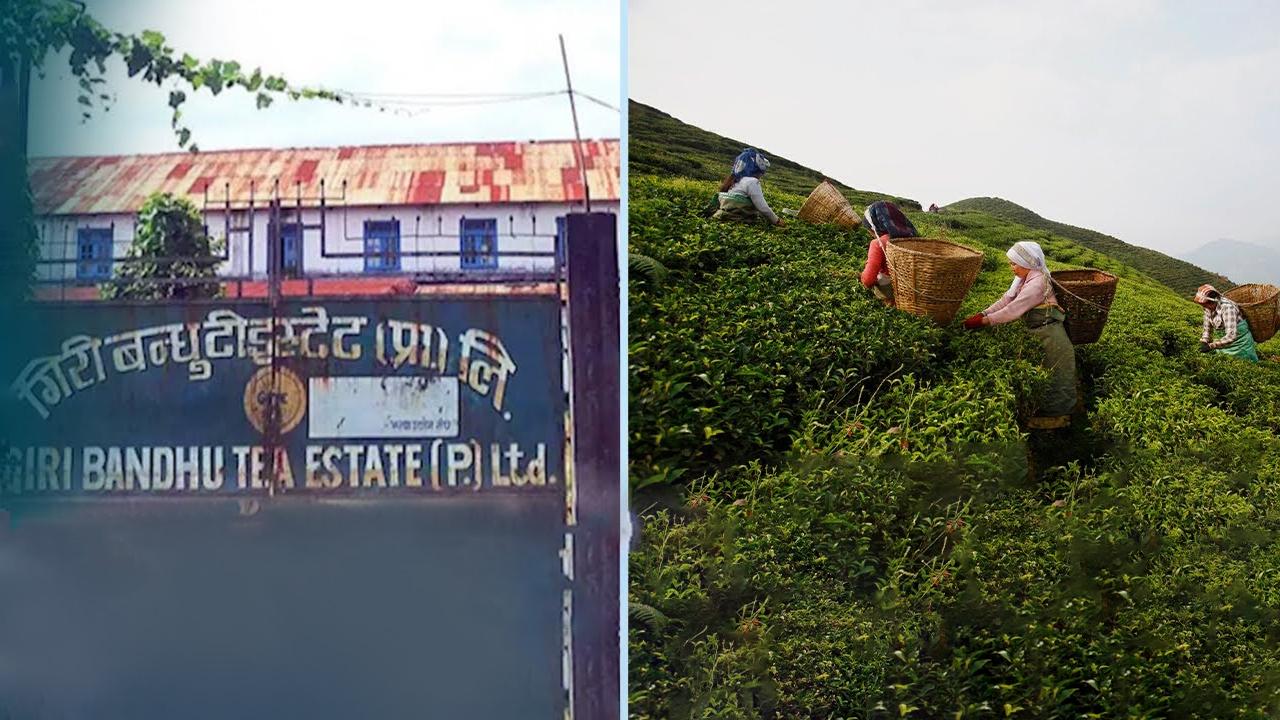 अंशियार तथा कम्पनीका साझेदारको जग्गा कब्जा गरि बेच्ने तरखरमा छत्र गिरी