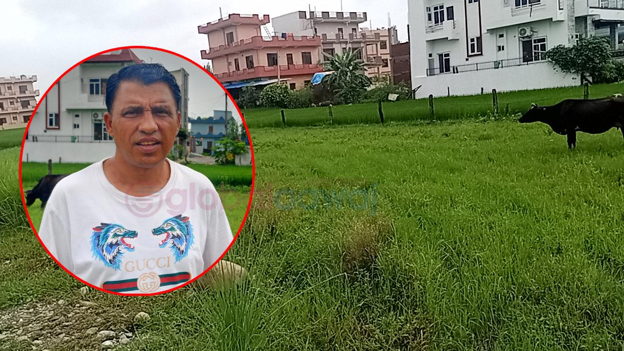 करोडौंको जग्गा हत्याउन दाजुले बनाए जीवित भाइको मृत्यु दर्ता