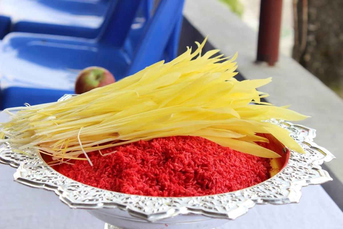 किन लगाउने दशैँमा ‘टीका र जमरा’ ?