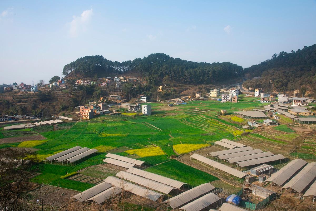 दुई वर्ष यताकै उच्च कारोबारसहित घरजग्गा बजारमा नयाँ रेकर्ड