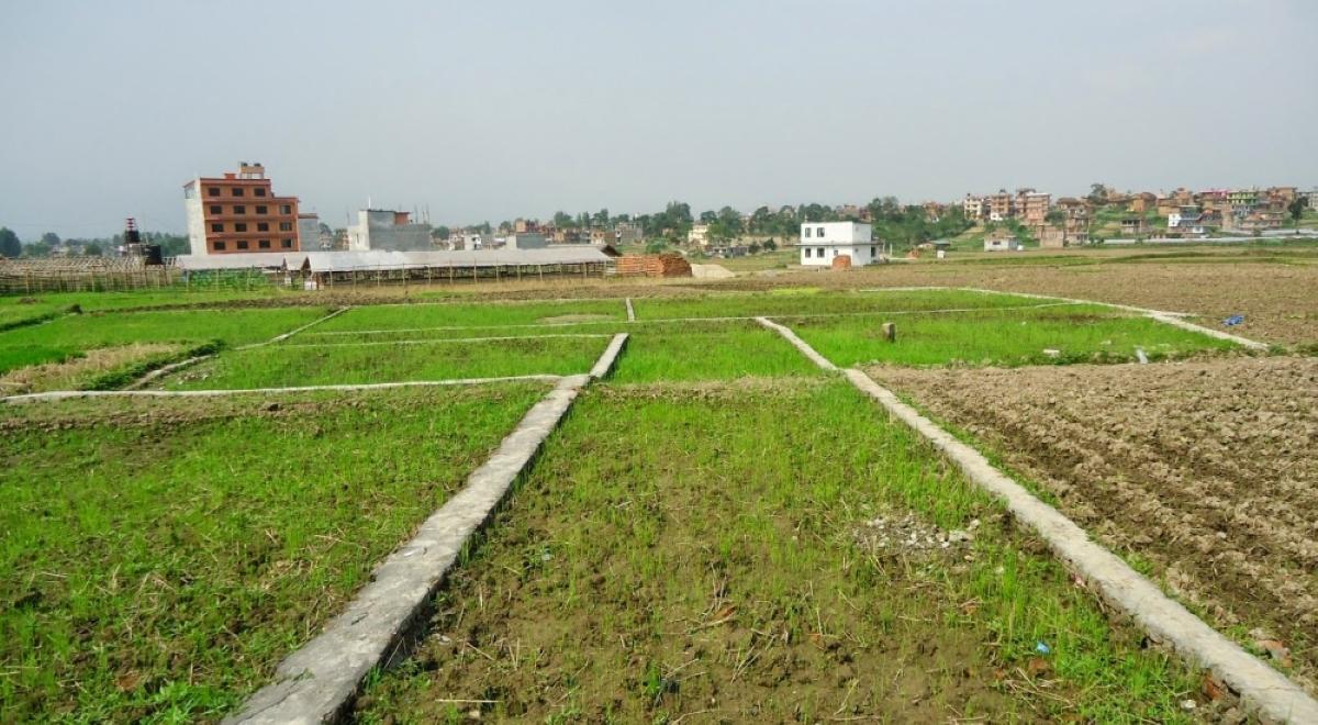 अब हदबन्दीभन्दा बढीको जग्गा किन्न र घर बनाएर बेच्न पाइने