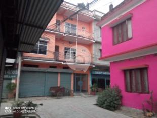 Urgent house sale : House for Sale in Birtamod Road, Itahari-image-3
