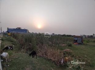 Commercial Land In Lumbini Road : Land for Sale in Durga Colony, Bhairahawa-image-4