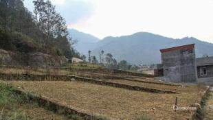 Land for Sale in Matatirtha, Kathmandu-image-5