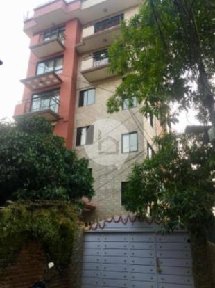 RENTED OUT: 2BHK PRIVATE APARTMENT : Apartment for Rent in Paknajol, Kathmandu-image-1