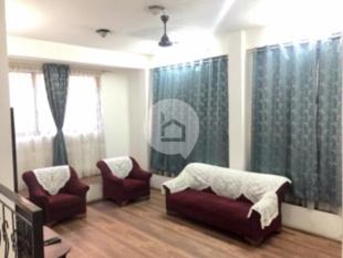 RENTED OUT: 2BHK PRIVATE APARTMENT : Apartment for Rent in Paknajol, Kathmandu-image-4