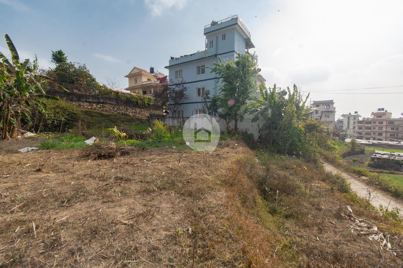 Photo of Rectangular Land : Land for Rent in Chapali, Kathmandu