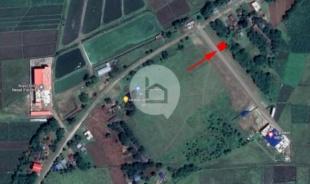 Plotted Land on Sale! : Land for Sale in Narayangadh, Bharatpur-image-1