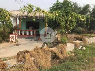 House on sale : House for Sale in Bhadrapur, Jhapa-image-1